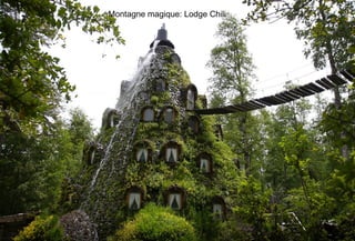 Montagne magique: Lodge Chili
 
