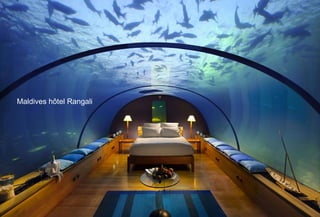 Maldives hôtel Rangali
 