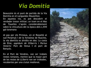 Via Domitia Beaucaire és el punt de partida de la Via Domitia en el  Languedoc-Roussillon . En aquesta via, es pot descobrir el verdader tresor militar; un tram en el Mas de  Touelles  s’aprèn considerablement sobre la viticultura del la època dels s.XVII gal·loromana  Al pas per els Pirineus, en el Rosselló al sud Perpinyà i de la fortalesa de Ruscino, la  via domitia  es dividia en dos: La costa de Elne,  oppidum de Illiberris  i  Portus Veneris : Port de Venus I el port de Banyuls. En el Port de Vendres, van ser trobats restes romanes, mentre que la major part de les restes de  LLiberis  van ser trobades, recobertes per una ciutat medieval. 