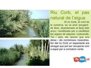Riu Corb, el pas natural de l’aigua .   El riu Corb, al nord de la comarca, es va anar eixugant  de llera, abandonada al llarg dels anys i reutilitzada per a canalitzar les aigües de sèquies i subcanals. Tot i això, els racons que ens deixa i els nombrosos meandres, fan del riu Corb un espectacle ara amagat que pot ser recuperat com a espai per a corredors verds. 