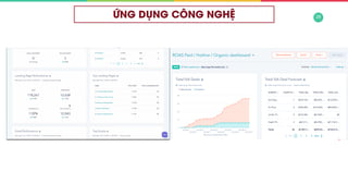 Why we can grow & content strategy
