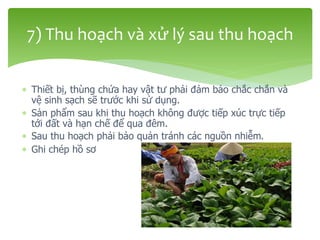  Thiết bị, thùng chứa hay vật tư phải đảm bảo chắc chắn và
vệ sinh sạch sẽ trước khi sử dụng.
 Sản phẩm sau khi thu hoạch không được tiếp xúc trực tiếp
tới đất và hạn chế để qua đêm.
 Sau thu hoạch phải bảo quản tránh các nguồn nhiễm.
 Ghi chép hồ sơ
7) Thu hoạch và xử lý sau thu hoạch
 
