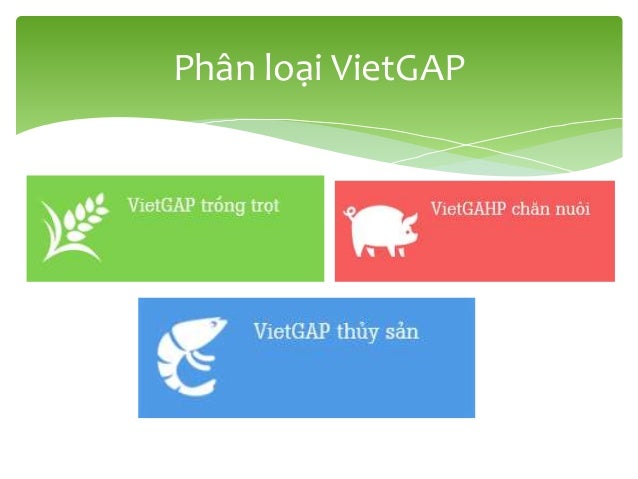 Kết quả hình ảnh cho vietgap