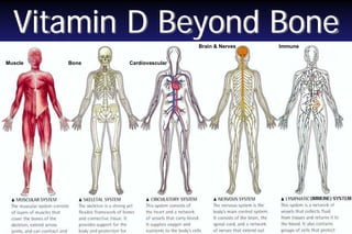 Vitamin D Beyond Bone
Brain & Nerves
Muscle

Bone

Cardiovascular

Immune

 