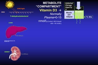 UVB light
SKIN

7-dehydrocholesterol

LIVER

METABOLITE
“COMPARTMENT”
Vitamin D3 
Normally
Plasma=0-15
nmol/L(Context: 400 IU/quart
milk = 40 nmol/L)

25-OHase

KIDNEY
1-α-OHase

Unlimited
Storage
Capacity
in
Muscle
and
Adipose

PLASMA
To Bile

 