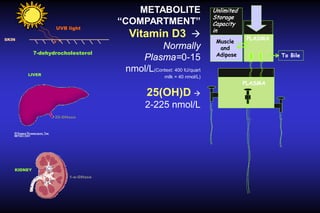 UVB light
SKIN

7-dehydrocholesterol

LIVER

METABOLITE
“COMPARTMENT”
Vitamin D3 
Normally
Plasma=0-15
nmol/L(Context: 400 IU/quart
milk = 40 nmol/L)

25(OH)D 
2-225 nmol/L
25-OHase

KIDNEY
1-α-OHase

Unlimited
Storage
Capacity
in
Muscle
and
Adipose

PLASMA
To Bile

PLASMA

 