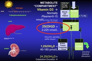 UVB light
SKIN

7-dehydrocholesterol

LIVER

METABOLITE
“COMPARTMENT”
Vitamin D3 
Normally
Plasma=0-15
nmol/L(Context: 400 IU/quart

Unlimited
Storage
Capacity
in
Muscle
and
Adipose

milk = 40 nmol/L)

PLASMA
To Bile

PLASMA

25(OH)D 
2-225 nmol/L
25-OHase

Paracrine signaling
within tissues

KIDNEY
1-α-OHase

1,25(OH)2D 
40-180 pmol/L
24,25(OH)2D

Catabolism Excretion 

Within
Tissues
Possessing
1-OHase

PLASMA

Intestinal
Calcium
Absorption

 
