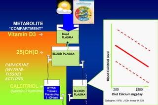 METABOLITE
“COMPARTMENT”

Vitamin D3 

BLOOD PLASMA

P AR ACR I NE
(W I THI NTI SSUE)
ACTI ONS

CALCITRIOL 
(Vitamin D hormone)

Within
Tissues
Possessing
1-OHase

BLOOD

PLASMA

Blood Calcitriol Level

25(OH)D 

Blood
PLASMA

200
1800
Diet Calcium mg/day
Gallagher, 1979; J Clin Invest 64:729

 