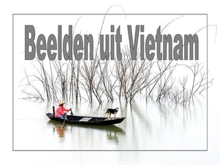Beelden uit Vietnam 