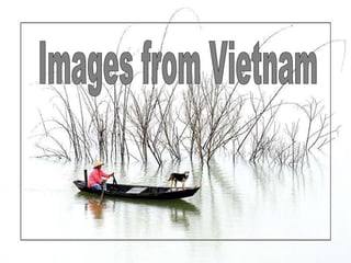 Images from Vietnam 