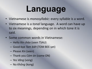 FoodSoy sauce, fish sauce, noodles and rice are staples of the Vietnamese diet.Vegetables, seafood, and pork are common in Vietnamese cuisine.