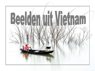 Beelden uit Vietnam 