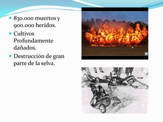  830.000 muertos y
  900.000 heridos.
 Cultivos
  Profundamente
  dañados.
 Destrucción de gran
  parte de la selva.
 