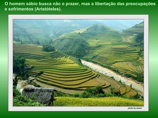 O homem sábio busca não o prazer, mas a libertação das preocupações  e sofrimentos (Aristóteles).   