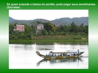 Só quem entende a beleza do perdão, pode julgar seus semelhantes. (Sócrates) 