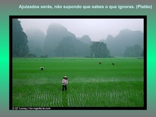 Ajuizados serás, não supondo que sabes o que ignoras. (Platão)   