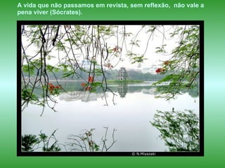 A vida que não passamos em revista, sem reflexão,  não vale a pena viver (Sócrates). 