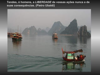 Tendes, ó homens, a  LIBERDADE  de vossas ações nunca a de suas consequências. (Pietro Ubaldi ) 