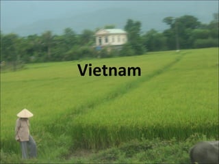 Vietnam
 