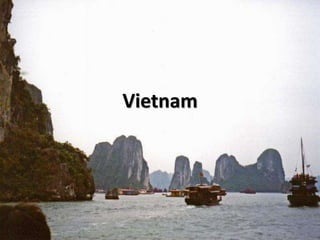 Vietnam

 