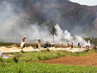 Vietnam