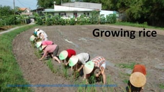 Among highlights of
Phuoc Hai about 90 km.
from Saigon are great
hills for walking and
good seafood.
https://www.citypassguide.com/en/living/ho-chi-minh-city/activities/blog/5-fantastic-hidden-getaways-in-vietnam
 