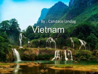 Vietnam
By : Candace Undag
 