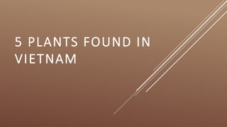 5 PLANTS FOUND IN
VIETNAM
 