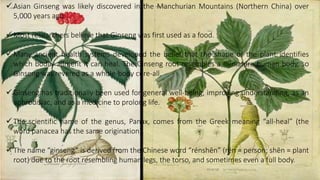  Asian Ginseng was likely discovered in the Manchurian Mountains (Northern China) over
5,000 years ago.
 Most researchers believe that Ginseng was first used as a food.
 Many ancient health systems developed the belief that the shape of the plant identifies
which bodily ailment it can heal. The Ginseng root resembles a miniature human body, so
Ginseng was revered as a whole-body cure-all.
 Ginseng has traditionally been used for general well-being, improving understanding, as an
aphrodisiac, and as a medicine to prolong life.
 The scientific name of the genus, Panax, comes from the Greek meaning “all-heal” (the
word panacea has the same origination).
 The name “ginseng” is derived from the Chinese word “rénshēn” (rén = person; shēn = plant
root) due to the root resembling human legs, the torso, and sometimes even a full body.
 