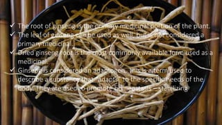  The root of ginseng is the primary medicinal portion of the plant.
 The leaf of ginseng can be used as well, but is not considered a
primary medicinal.
 Dried ginseng root is the most commonly available form used as a
medicinal.
 Ginseng is considered an adaptogen. This is a term used to
describe a substance that “adapts” to the specific needs of the
body. They are used to promote homeostasis – stabilizing
 