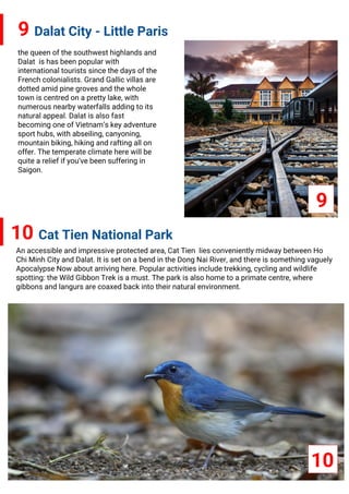 9 Dalat City - Little Paris
10 Cat Tien National Park
the queen of the southwest highlands and
Dalat is has been popular with
international tourists since the days of the
French colonialists. Grand Gallic villas are
dotted amid pine groves and the whole
town is centred on a pretty lake, with
numerous nearby waterfalls adding to its
natural appeal. Dalat is also fast
becoming one of Vietnam’s key adventure
sport hubs, with abseiling, canyoning,
mountain biking, hiking and rafting all on
offer. The temperate climate here will be
quite a relief if you’ve been suffering in
Saigon.
An accessible and impressive protected area, Cat Tien lies conveniently midway between Ho
Chi Minh City and Dalat. It is set on a bend in the Dong Nai River, and there is something vaguely
Apocalypse Now about arriving here. Popular activities include trekking, cycling and wildlife
spotting: the Wild Gibbon Trek is a must. The park is also home to a primate centre, where
gibbons and langurs are coaxed back into their natural environment.
9
10
 