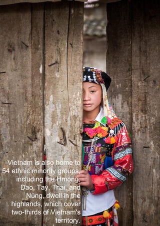 Vietnam is also home to
54 ethnic minority groups,
including the Hmong,
Dao, Tay, Thai, and
Nùng, dwell in the
highlands, which cover
two-thirds of Vietnam's
territory.
 