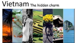 VietnamThe hidden charm
 