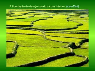A libertação do desejo conduz à paz interior .  ( Lao-Tisé)   