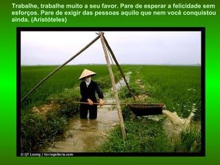Trabalhe, trabalhe muito a seu favor. Pare de esperar a felicidade sem  esforços. Pare de exigir das pessoas aquilo que nem você conquistou ainda.   (Aristóteles) 