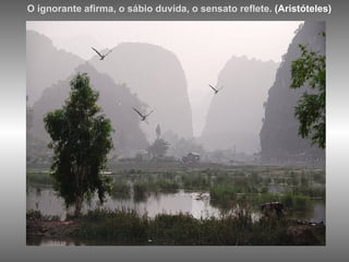 O ignorante afirma, o sábio duvida, o sensato reflete.  (Aristóteles) 