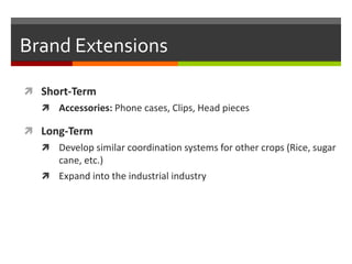 Brand Extensions

 Short-Term
   Accessories: Phone cases, Clips, Head pieces

 Long-Term
   Develop similar coordinat...