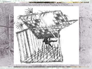 Booby Traps- pungi sticks 