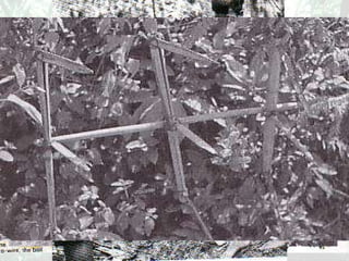 Tin-can Grenades  Spiked Ball 