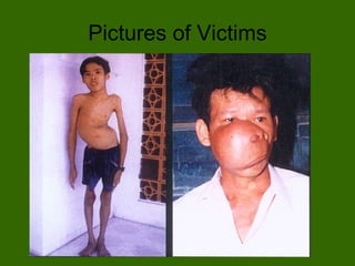 Pictures of Victims 