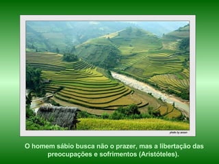 O homem sábio busca não o prazer, mas a libertação das preocupações e sofrimentos (Aristóteles).   