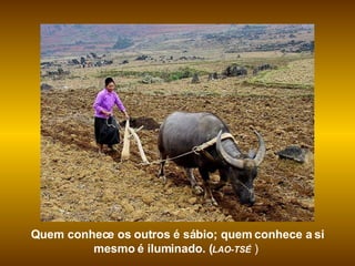 Quem conhece os outros é sábio; quem conhece a si mesmo é iluminado. ( LAO-TSÉ  )  