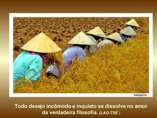 Todo desejo incômodo e inquieto se dissolve no amor  da verdadeira filosofia.  ( LAO-TSÉ  )   