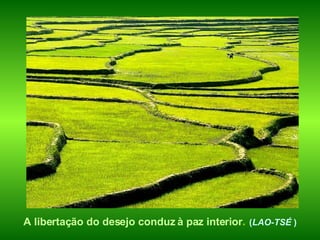 A libertação do desejo conduz à paz interior .  ( LAO-TSÉ  )   