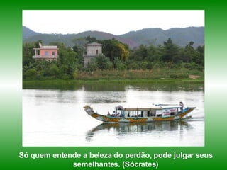 Só quem entende a beleza do perdão, pode julgar seus semelhantes. (Sócrates) 