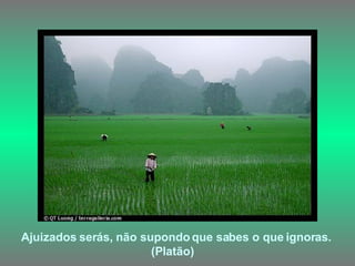 Ajuizados serás, não supondo que sabes o que ignoras. (Platão)   