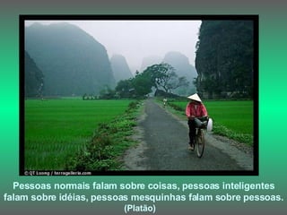 Pessoas normais falam sobre coisas, pessoas inteligentes falam sobre idéias, pessoas mesquinhas falam sobre pessoas.  (Platão)   