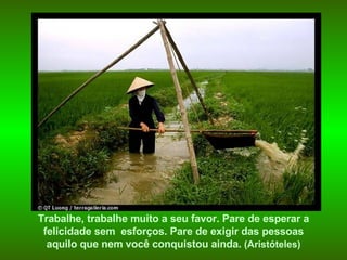 Trabalhe, trabalhe muito a seu favor. Pare de esperar a felicidade sem  esforços. Pare de exigir das pessoas  aquilo que nem você conquistou ainda.   (Aristóteles) 