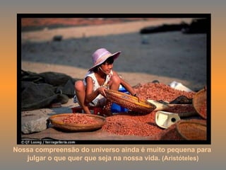 Nossa compreensão do universo ainda é muito pequena para  julgar o que quer que seja na nossa vida.  (Aristóteles) 