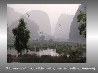 O ignorante afirma, o sábio duvida, o sensato reflete.  (Aristóteles) 